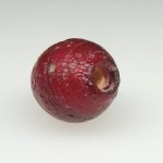 画像4: 血赤ホワイトハーツ大 (4)