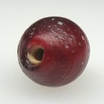 画像4: 血赤ホワイトハーツ大 (4)