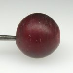 画像3: 血赤ホワイトハーツ大 (3)