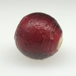 画像3: 血赤ホワイトハーツ大 (3)