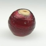 画像2: 血赤ホワイトハーツ大 (2)