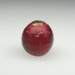 画像1: 血赤ホワイトハーツ大 (1)