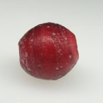 画像3: 血赤ホワイトハーツ大 (3)