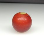 画像1: カーネリアンデアレッポ (1)