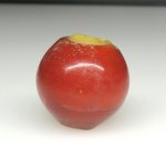 画像1: カーネリアンデアレッポ (1)