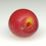 画像5: カーネリアンデアレッポ (5)