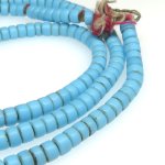 画像3: ブルーのシード連 (3)