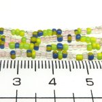 画像2: 極小ミックスシード　ロング連 (2)