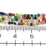 画像2: 極小ミックスシード連 (2)