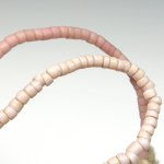 画像4: ピンク極小シードビーズ連 (4)