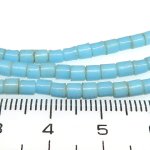 画像2: ブルーチューブ型シード連 (2)