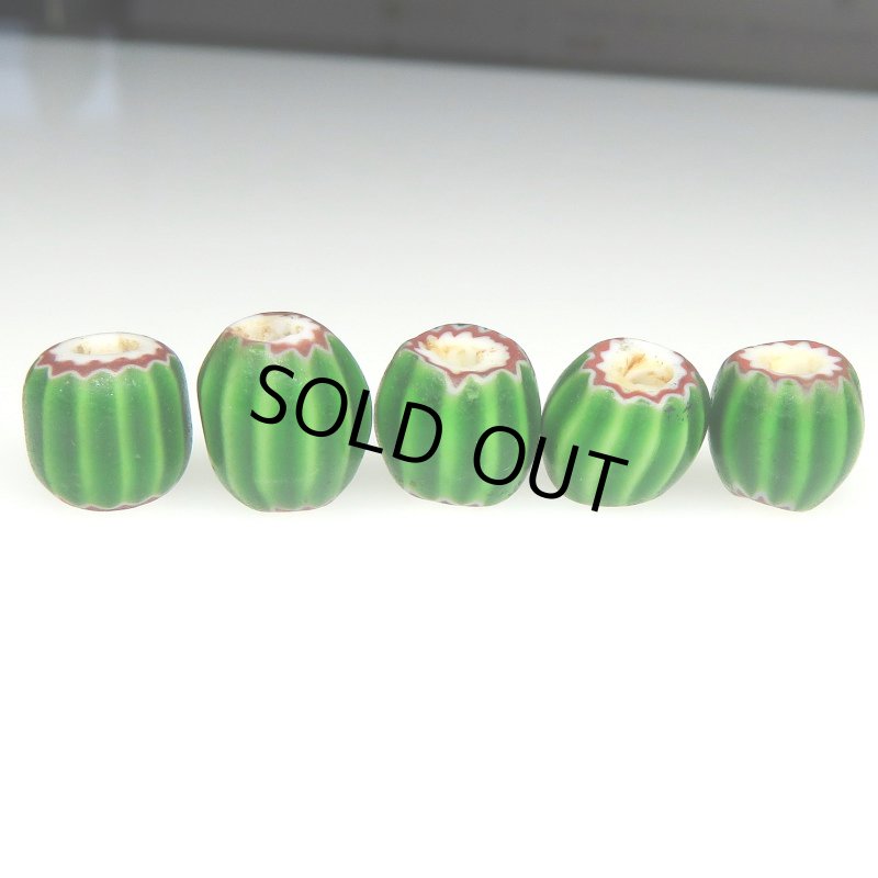 画像3: ヴェネチア　ウォーターメロン球形　5個セット (3)