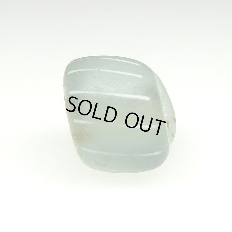 画像3: グーズベリーホワイト (3)