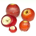 画像1: ホワイトハーツ+カーネリアンデアレッポ　難あり (1)