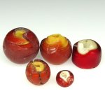 画像2: ホワイトハーツ+カーネリアンデアレッポ　難あり (2)