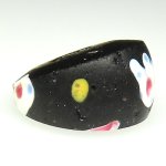 画像3: 黒のファンシーアイ (3)