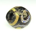 画像4: ファンシーアイ (4)