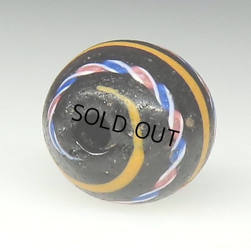 画像4: 美螺旋ファンシー大きめ (4)