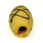 画像3: アコスもどきファンシー (3)