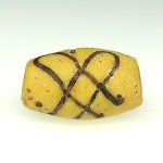 画像1: アコスもどきファンシー (1)