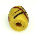 画像3: アコスもどきファンシー (3)