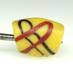 画像2: アコスもどきファンシー (2)