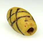 画像4: アコスもどきファンシー (4)