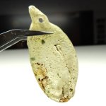 画像5: 古代ガラス残欠 (5)