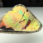 画像7: 古代ガラス残欠ペンダントトップ (7)