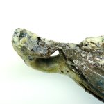 画像4: 銀化古代ガラス残欠 (4)