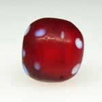 画像3: 研磨金赤スカンク (3)