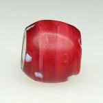 画像3: 研磨金赤スカンク (3)