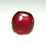 画像1: 研磨金赤スカンク (1)