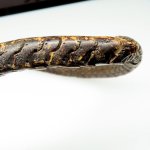 画像3: アフリカ製　蛇の脊椎 (3)