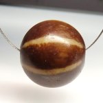 画像5: 美Pumtekプンテック (5)