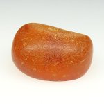 画像3: アフリカ本琥珀 (3)