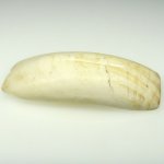 画像3: ヒポティース (3)