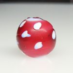 画像1: 深い金赤のレッドスカンク (1)