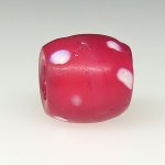 画像3: 美研磨金赤スカンク (3)