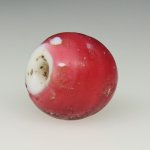 画像4: 研磨金赤スカンク (4)