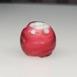 画像1: 研磨金赤スカンク (1)