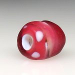 画像4: 美研磨金赤スカンク (4)