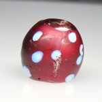 画像2: 美深いワインレッドのスカンク (2)
