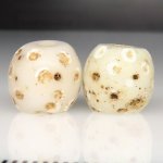 画像2: ホワイトスカンク　2個セット (2)