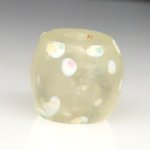 画像2: クリアスカンク (2)