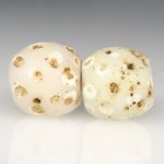 画像3: ホワイトスカンク　2個セット (3)