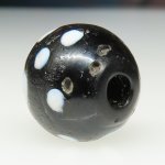 画像4: ブラックスカンク (4)