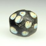 画像3: ブルードットのブラックスカンク (3)