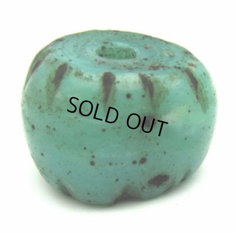 ナガ族蜜柑玉大