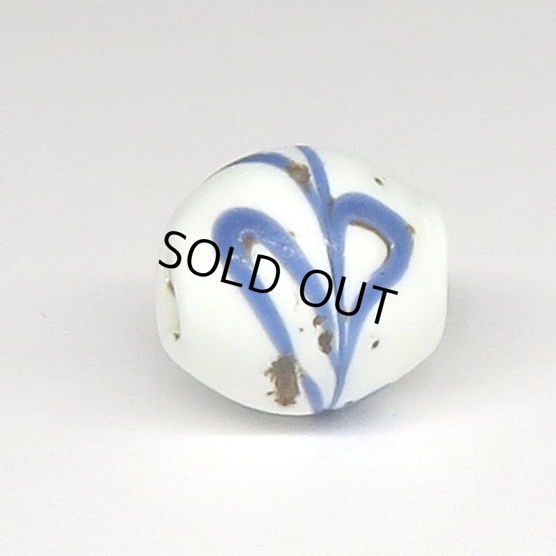 スクイッグル白